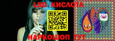 стаф Будённовск