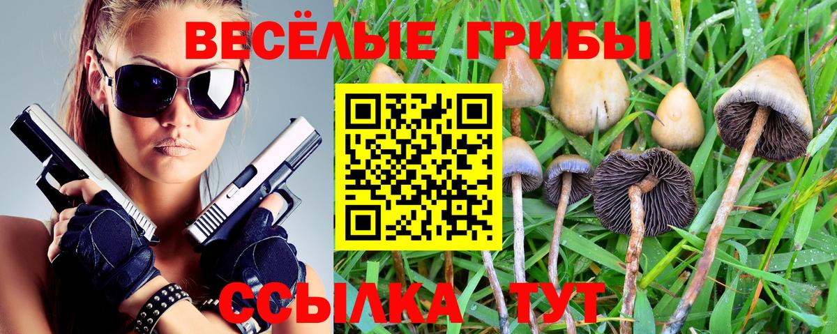 Псилоцибиновые грибы GOLDEN TEACHER  Вход с VPN  Кинешма 